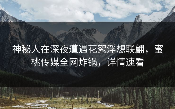 神秘人在深夜遭遇花絮浮想联翩，蜜桃传媒全网炸锅，详情速看